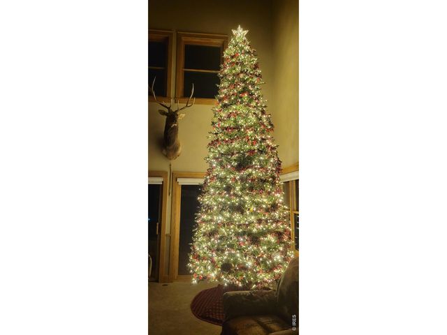 2619 Ridge Ln, Estes Park, CO 80517