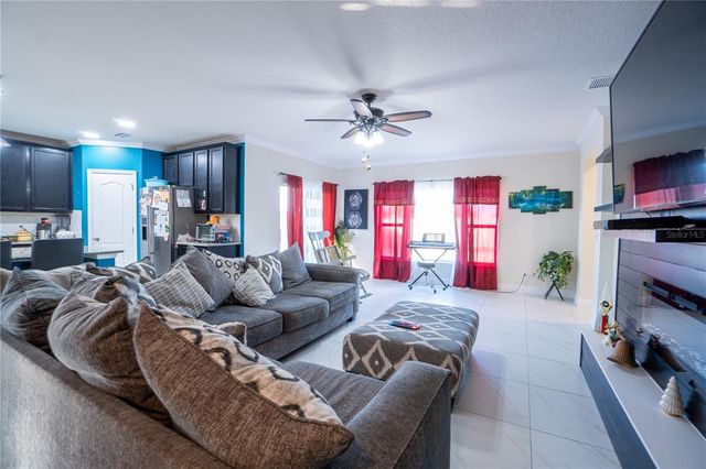 9228 HALSEY DRIVE, Groveland, FL 34736