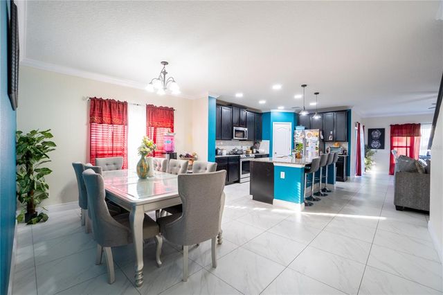 9228 HALSEY DRIVE, Groveland, FL 34736