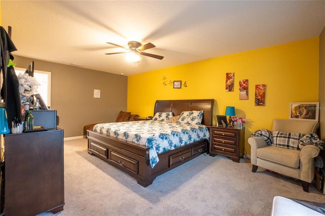 9228 HALSEY DRIVE, Groveland, FL 34736