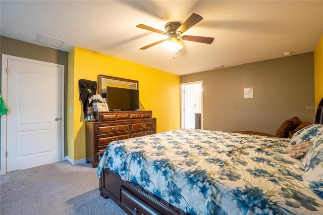 9228 HALSEY DRIVE, Groveland, FL 34736