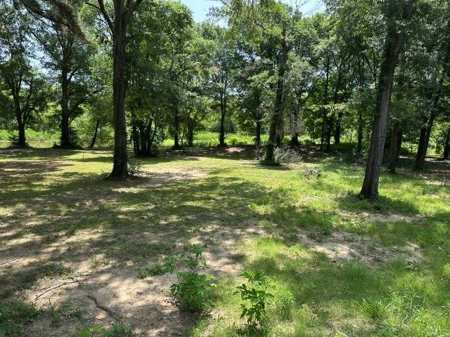 188 Vista Drive, Eustace, TX 75124