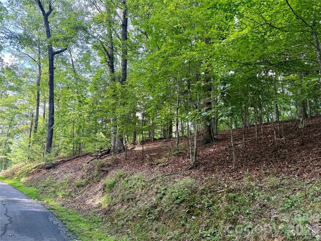75 Longview Court 4, Marshall, NC 28753