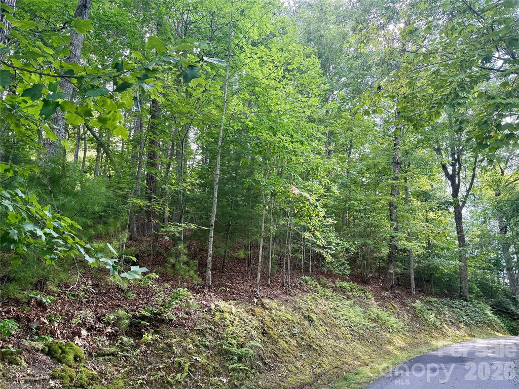 75 Longview Court 4, Marshall, NC 28753