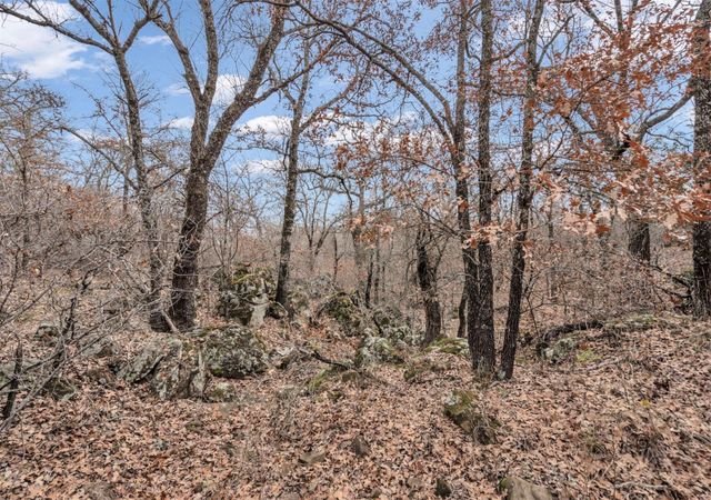 502 Silver Ridge Court, Bowie, TX 76230