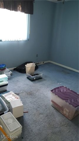 815 E 272nd Street, Euclid, OH 44132