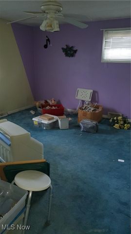 815 E 272nd Street, Euclid, OH 44132