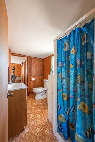 167 Buckeye Knoll Road, George West, TX 78022