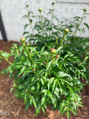 1023 Cleland Drive, Chapel Hill, NC 27517