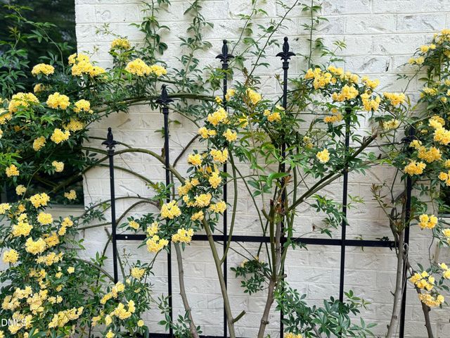 1023 Cleland Drive, Chapel Hill, NC 27517