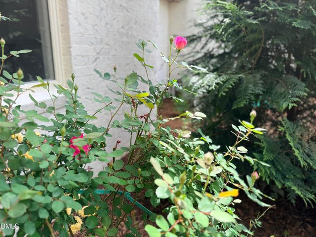 1023 Cleland Drive, Chapel Hill, NC 27517