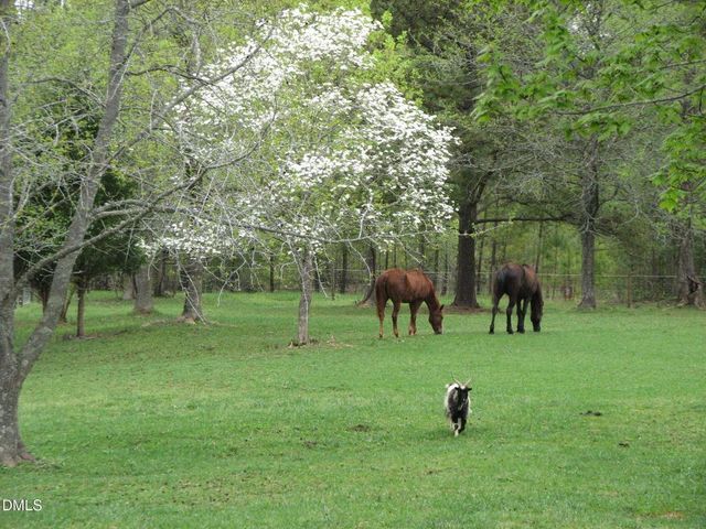 291 Meadow View Drive, Moncure, NC 27559