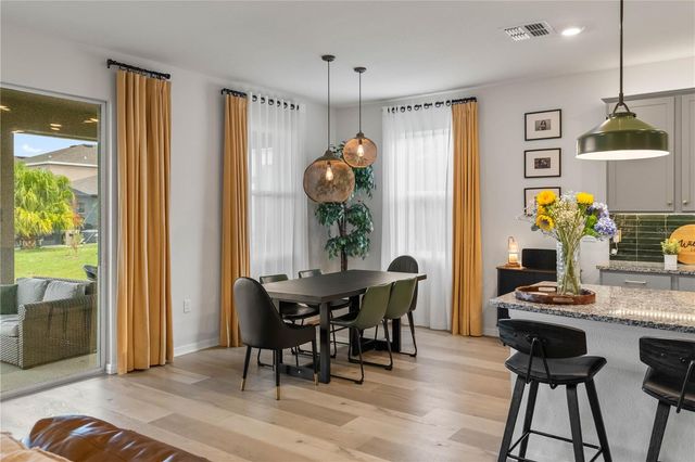 13166 BROOKSIDE MOSS DRIVE, Riverview, FL 33579