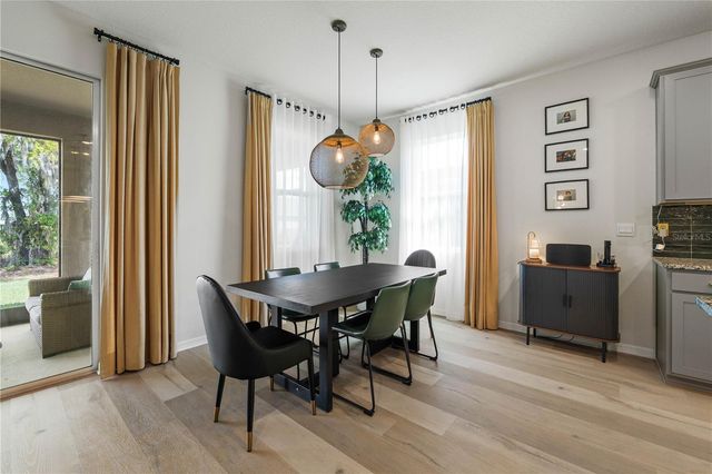 13166 BROOKSIDE MOSS DRIVE, Riverview, FL 33579