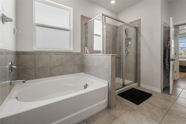 13166 BROOKSIDE MOSS DRIVE, Riverview, FL 33579