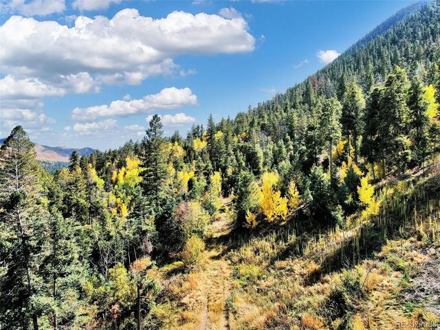 5265 Kulsa Road, Cascade, CO 80809