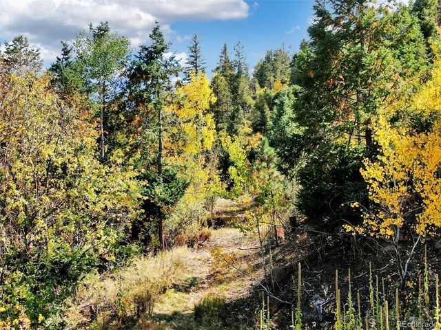 5265 Kulsa Road, Cascade, CO 80809