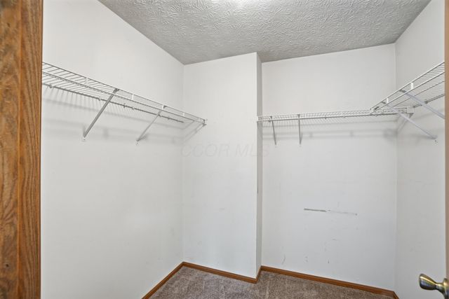 1167 Romona Place, Columbus, OH 43204