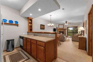 100 Village Trail, 3, Branson, MO 65616
