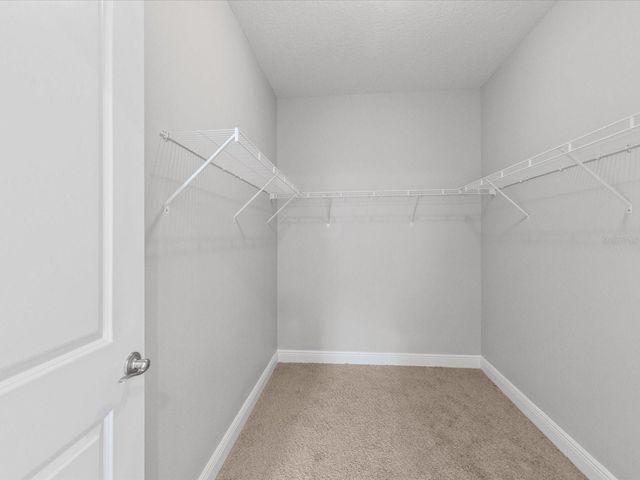 7105 PARK TREE DRIVE, Tampa, FL 33625