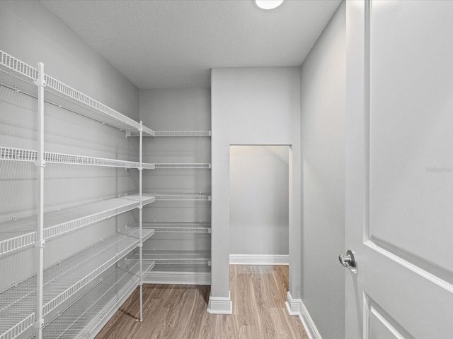 7105 PARK TREE DRIVE, Tampa, FL 33625