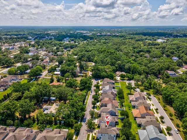 7105 PARK TREE DRIVE, Tampa, FL 33625
