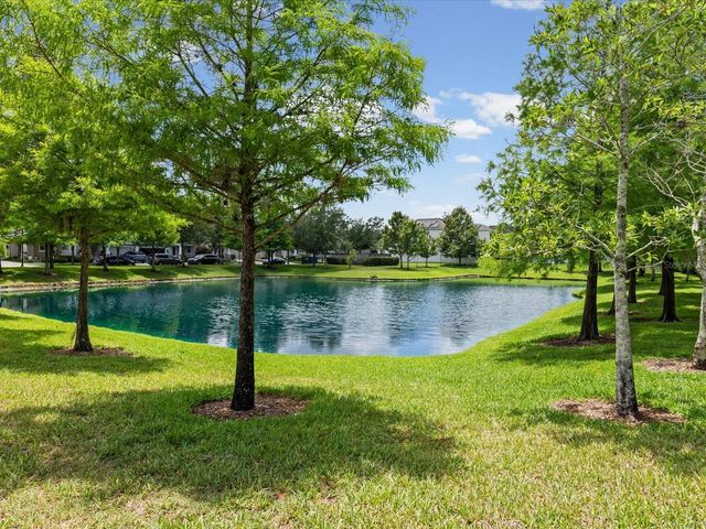 7105 PARK TREE DRIVE, Tampa, FL 33625