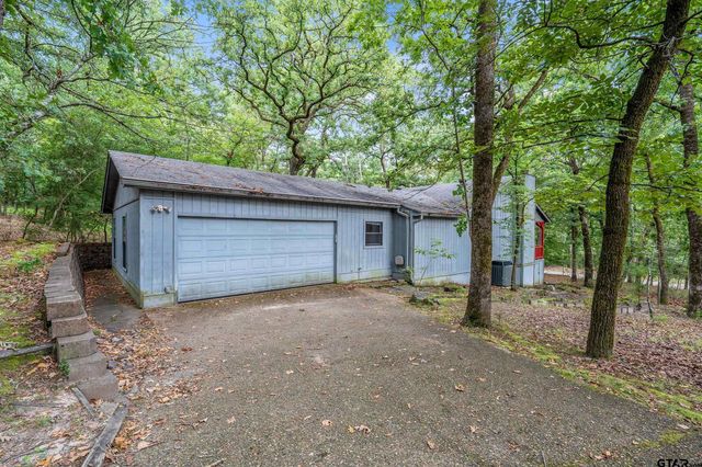 224 BLUE BIRD LN, Holly Lake Ranch, TX 75765