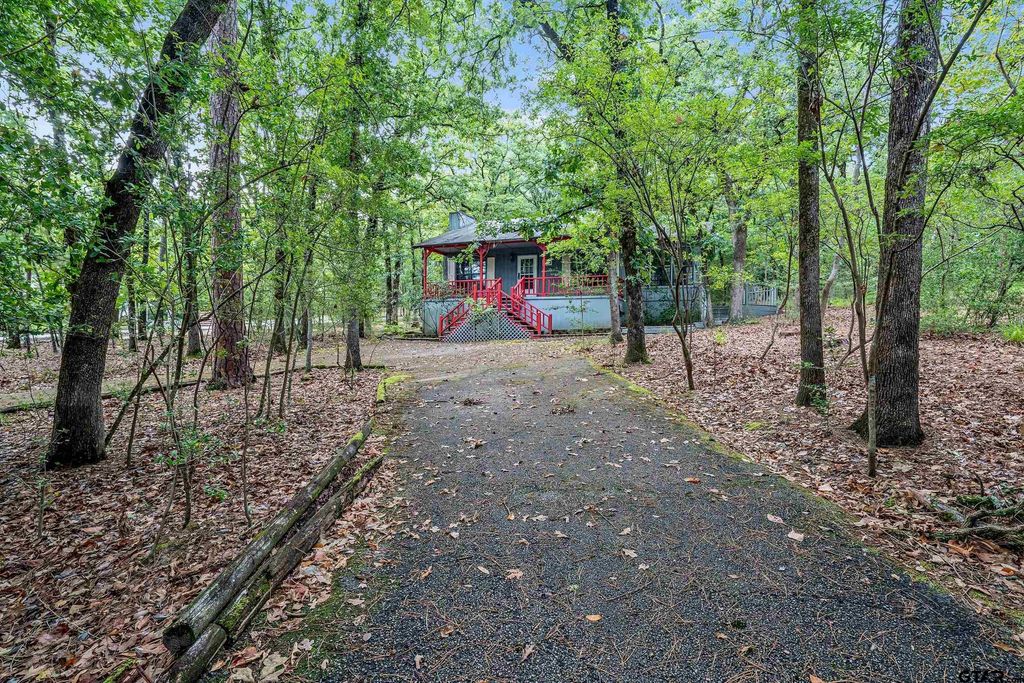 224 BLUE BIRD LN, Holly Lake Ranch, TX 75765
