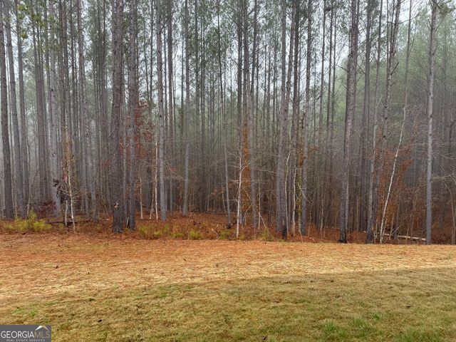 33 Wolf Creek CV, Lagrange, GA 30240