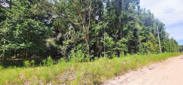 Donys Ave, Interlachen, FL 32148