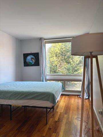 1428 E 55th Street, Chicago, IL 60615