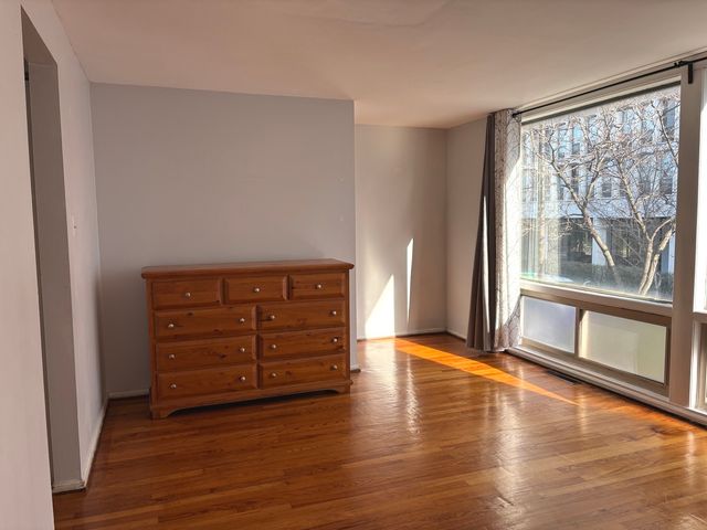 1428 E 55th Street, Chicago, IL 60615