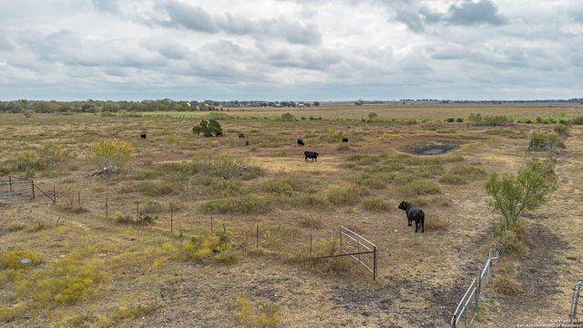 9325 Fm 1339, Martindale, TX 78655