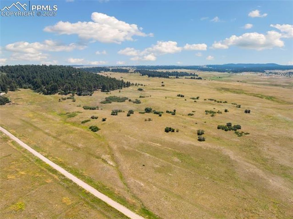 14252 S Highway 83, Larkspur, CO 80118 — photo 5
