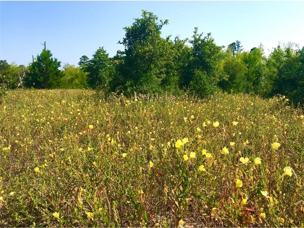 Lot 50 Martin LN, Paige, TX 78659