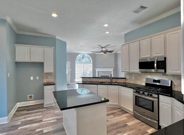 14531 Chestnut Falls Drive, Cypress, TX 77433
