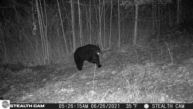 0 Mockingbird Lane, Kalkaska, MI 49646