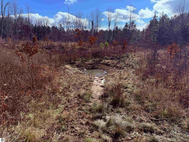 0 Mockingbird Lane, Kalkaska, MI 49646