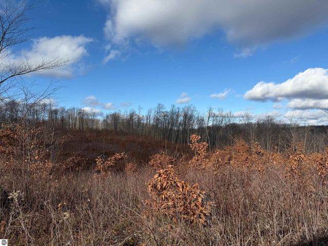 0 Mockingbird Lane, Kalkaska, MI 49646