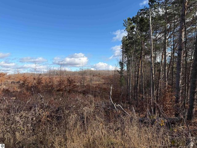 0 Mockingbird Lane, Kalkaska, MI 49646