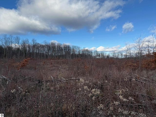 0 Mockingbird Lane, Kalkaska, MI 49646