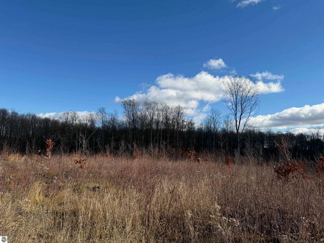 0 Mockingbird Lane, Kalkaska, MI 49646