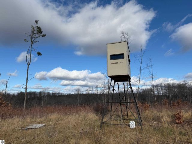 0 Mockingbird Lane, Kalkaska, MI 49646