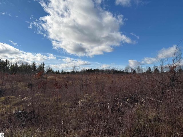 0 Mockingbird Lane, Kalkaska, MI 49646