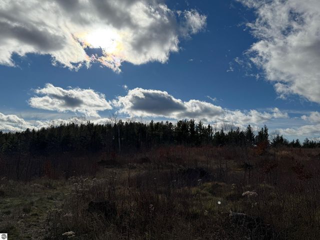 0 Mockingbird Lane, Kalkaska, MI 49646