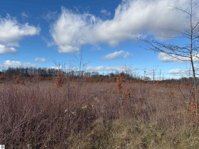 0 Mockingbird Lane, Kalkaska, MI 49646