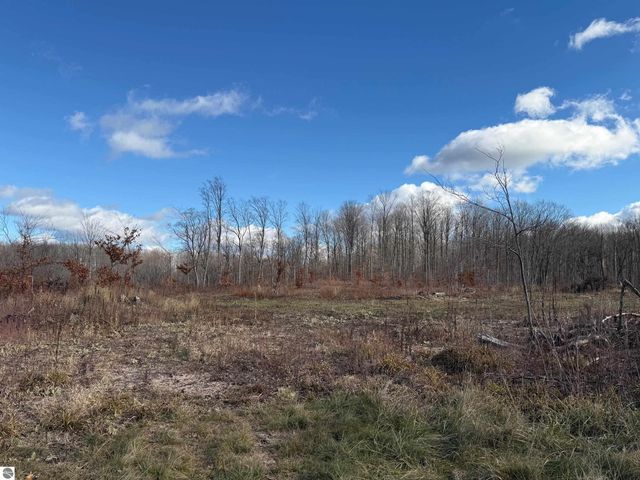 0 Mockingbird Lane, Kalkaska, MI 49646