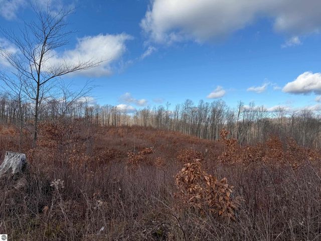 0 Mockingbird Lane, Kalkaska, MI 49646