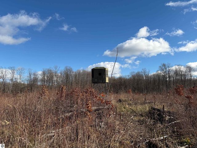 0 Mockingbird Lane, Kalkaska, MI 49646